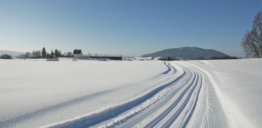 Friluftsliv, skiløyper og turstier