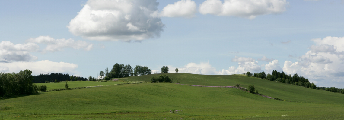 ZA8I7436